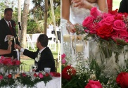 Wedding Reception and Toast